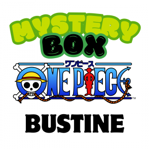 MYSTERY BOX - one piece - BUSTINE